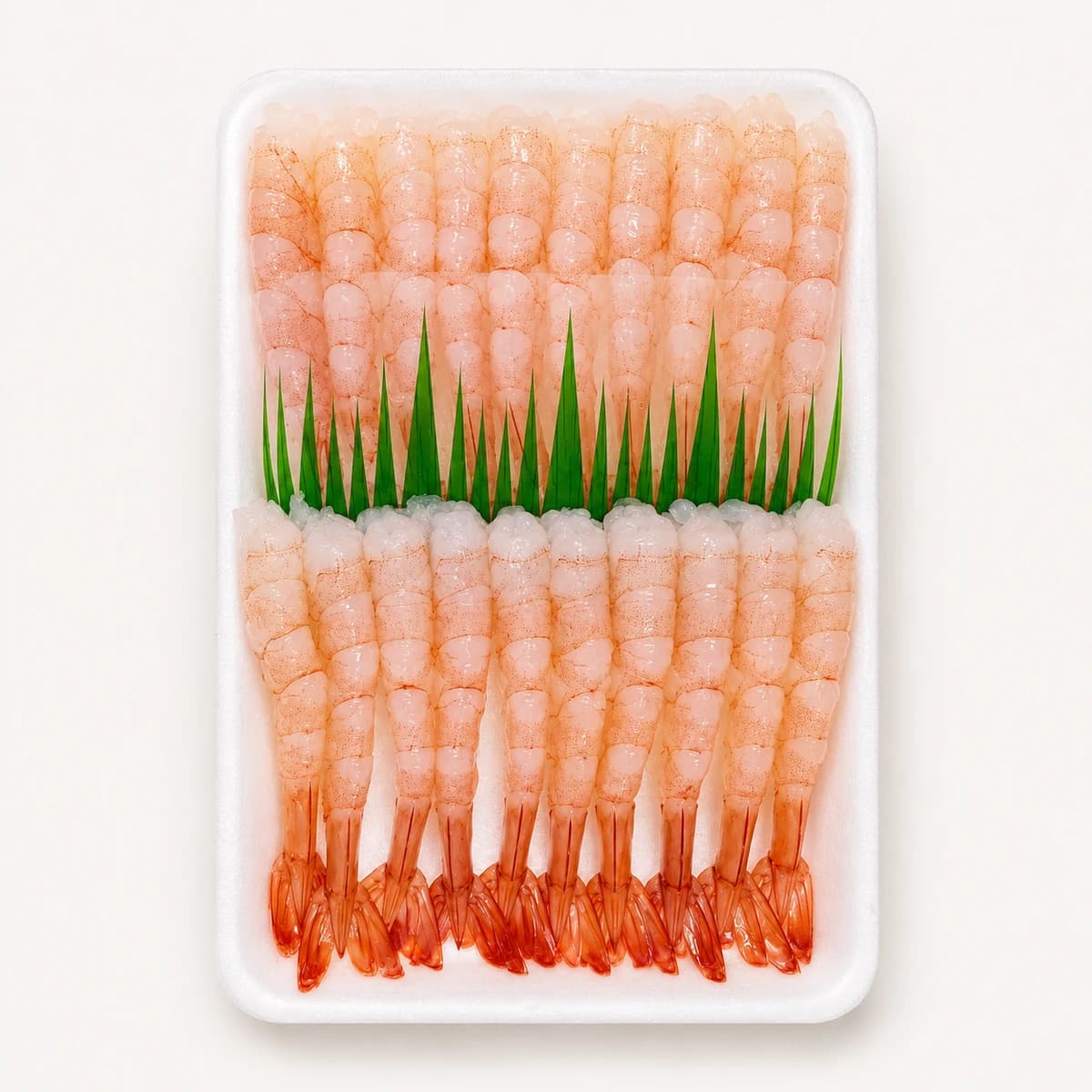 Tôm Sushi